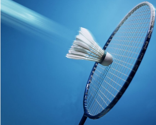 本文将深入 本文将深入