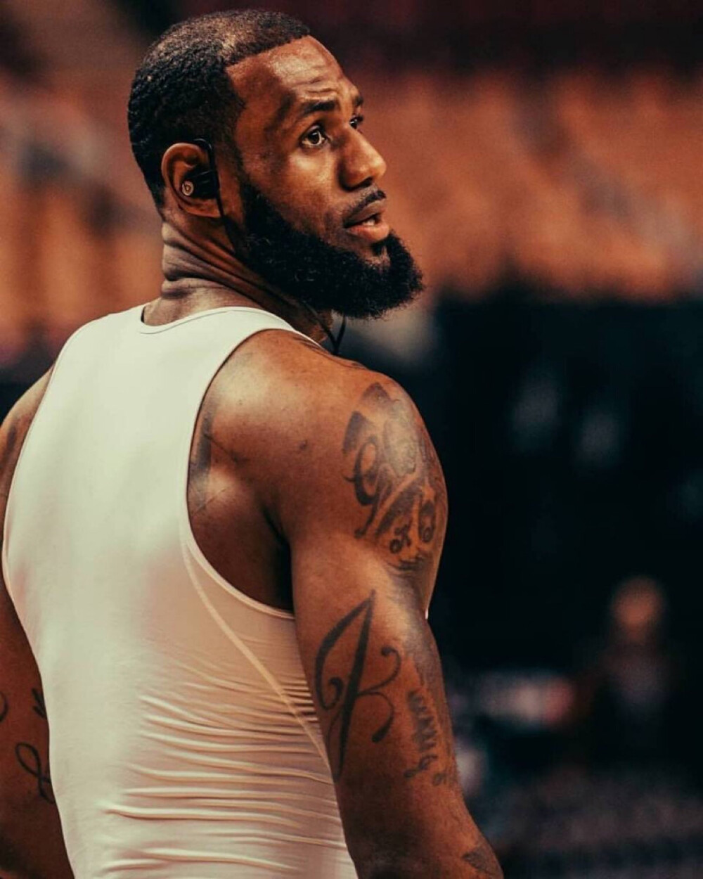 步沉淀为资 步沉淀为资